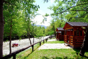 Отель Camping Noguera Pallaresa  Сорт